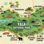 Where to Stay Near Yala National Park: Complete Accommodation Guide